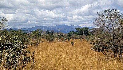 Landschaft - Mikumi Nationalpark