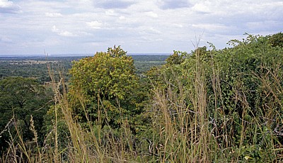 Landschaft - Selous Kisaki Road