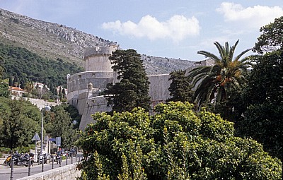 Stari Grad (Altstadt): Dubrovacke gradske zidine mit Kula Minceta (Stadtmauer mit Minceta-Turm) - Dubrovnik