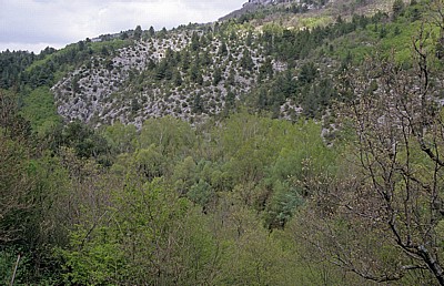 Cetina-Canyon: Vegetation - Gespanschaft Split-Dalmatien