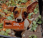 Schild gegen ungebetene Hundehinterlassenschaften - Wien