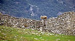Schaf auf der Festungsmauer - Kruja