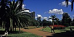 Harare Gardens - Harare
