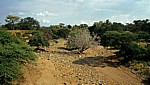 Ausgetrocknetes Flußbett - Masvingo