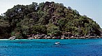 Insel Nummer acht (Ko Paed) - Similan Islands