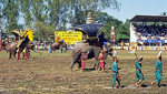 Elephant Round-up: Kriegselefanten - Surin