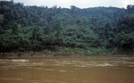 Vegetation - Mekong