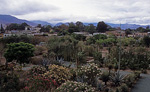 Jardín Etnobotánico - Oaxaca