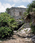 Casa del Cenote - Tulum