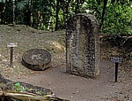 Altar (links) und Stele (rechts) - Tikal