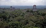 Blick von Tempel IV: (von links) Tempel I, II und III - Tikal