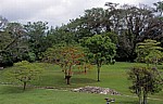 Blick von El Palacio (Palast) - Palenque
