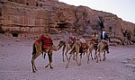 Äußerer Sik: Kleine Karawane - Petra