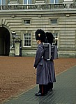 Buckingham Palace - Changing of the Guard - London