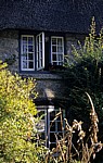 Katze vor offenem Cottagefenster - Buckland-in-the-Moor