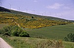 Jakobsweg (Navarrischer Weg): Windräder in der Sierra del Perdón - Navarra