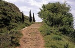 Jakobsweg (Camino Francés): Römerstraße zwischen Cirauqui und Lorca - Navarra