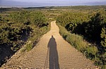Jakobsweg (Camino Francés): Schatten einer Pilgerin auf dem Weg - Navarra