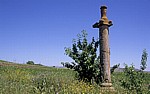 Jakobsweg (Camino Francés): Rollo de Azofra (Gerichtssäule) - La Rioja