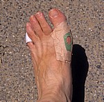 Jakobsweg (Camino Francés): Cordulas Fuß - Galicia