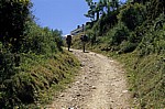 Jakobsweg (Camino Francés): Aufstieg zum Alto de Poio - Galicia