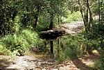 Jakobsweg (Camino Francés): Steinbrücke über den Río Catasol - Galicia
