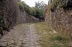 Jakobsweg (Caminho Português): Pflasterweg zum Santiaguiño do Monte - Padrón