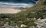 Cape of Good Hope (Kap der Guten Hoffnung): Diaz Beach - Cape of Good Hope Nature Reserve