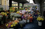 Adderley Street: Blumenmarkt - Kapstadt