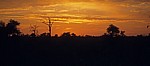 Sonnenuntergang über der Savanne - Kruger National Park
