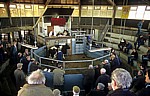 Derby Livestock Market: Rinderauktion - Derby