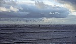 Kunstinstallation: Another Place (Antony Gormley) - Vogelschwarm über einer Figur - Crosby