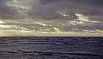 Vogelschwarm über der Kunstinstallation: Another Place (Antony Gormley) - Crosby