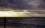 Vogelschwarm über der Kunstinstallation: Another Place (Antony Gormley) - Crosby