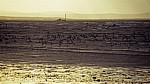 Vogelschwarm vor der Kunstinstallation: Another Place (Antony Gormley) - Crosby