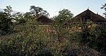 Planet Baobab: Rondavel - Gweta