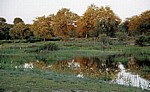 Popa Game Park: Bäume spiegeln sich im Okavango - Kavango