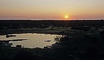 Moringa-Wasserloch - Etosha Nationalpark
