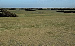 Namib: Gras - Erongo