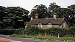 Stein-Cottage - Norfolk