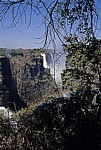 Blick durch die Bäume auf Devil's Cataract, Cataract Island und Main Falls - Victoriafälle