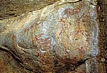 Pomongwe Cave: Felsmalereien (Bushmen paintings) - Matopos National Park