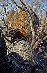 Whovi Wild Area: Felsformation - Matopos National Park