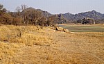 Whovi Wild Area: Typische Matopos-Landschaft - Matopos National Park