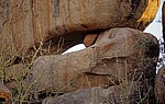 Whovi Wild Area: Felsformation - Tor - Matopos National Park