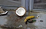 Opfergaben: u.a. Kokosnüsse, Bananen, Blumen, Räucherstäbchen, Geld - Grand Bassin