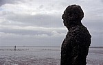 Kunstinstallation: Another Place (Antony Gormley) - Detail - Crosby