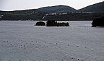 Malostonski zaljev (Kanal Malog Stona, Bucht von Mali Ston): Austernzucht um die Insel Bisaci - Gespanschaft Dubrovnik-Neretva